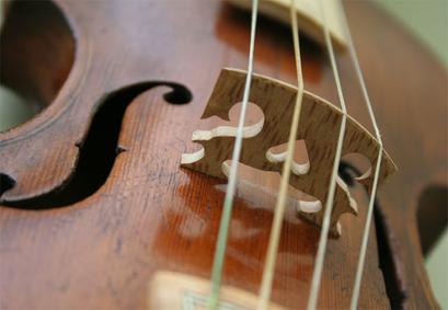 Side angle of a violin